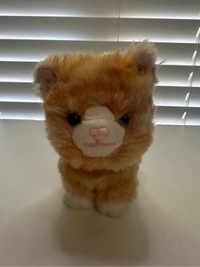 American Girl 2019 Orange Tabby Cat